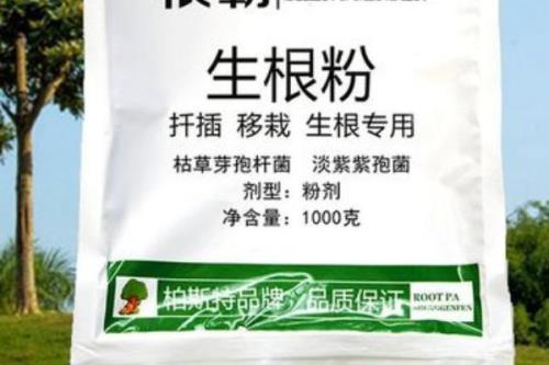 怎么选择生根产品，养根、生根、护根是关键