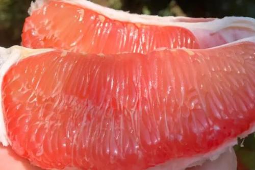 哪些农作物在秋季成熟，包括花生、玉米、西红柿等品种