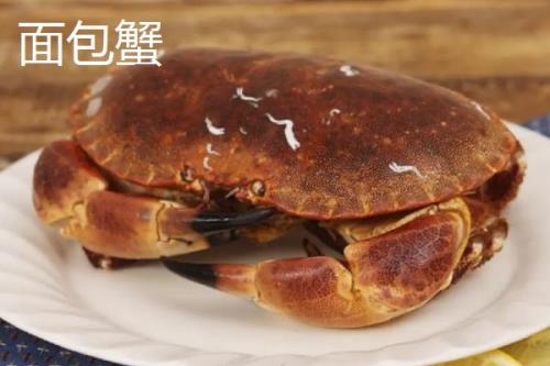 面包蟹和珍宝蟹的区别，产地、外形和价格均不同