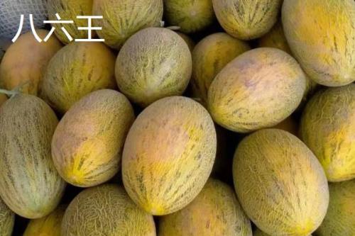 新疆哈密瓜的品种，西州蜜深受全国人们喜爱
