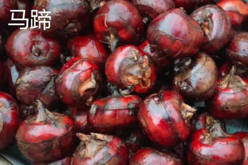 农村种什么可以赚钱，可考虑种植洛神果、苹婆、马蹄等水果