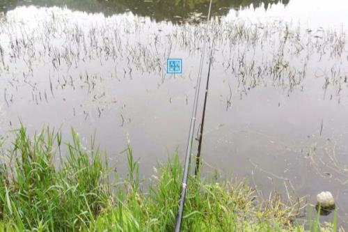谷麦钓法的找窝方式，陡坡下的坎位、密林边的回水湾均为理想窝点