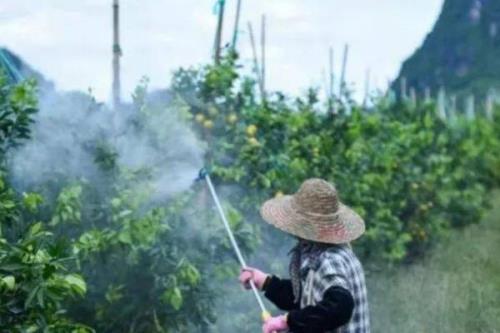 混用除草剂的原则，混合后药物的化学性质不能出现变化