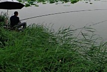 三月雨后如何钓鱼 首选水深1-2米的浅滩作为钓点