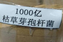枯草芽孢杆菌的防治对象 可防治青枯病、溃疡病、性软腐等
