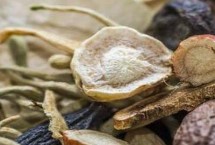 种植中药材一年亩收入几万块是否属实 具有成功案例但只是少数情况