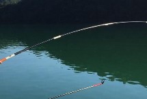 7号丸世钩能钓多大的鱼 3斤以内的鱼没问题
