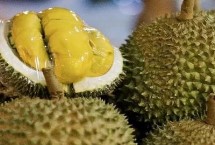 没熟的榴莲打开后如何处理 和其它成熟的水果放在一起可以起到催熟作用