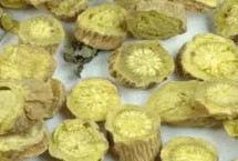 黄芩和黄芪有什么区别 黄芩属于唇形科、黄芪属于豆科
