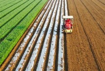 谷雨节气的农事谚语 要想庄稼好、管理要趁早