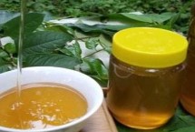 百花蜜简介 百花蜜没有固定的蜜源