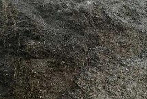 牛粪发酵成有机肥的方法 经过堆沤储存制成圈肥