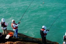 通常用什么鱼饵海钓 有活饵和死饵