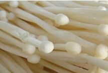金针菇基腐病怎么防治 发现病菇要立即清除