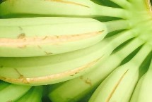 香蕉裂果的原因是什么 缺钙或偏施化肥都可导致