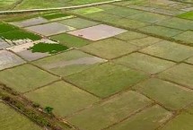 基本农田和一般耕地的意思 前者是指被总体规划不得占用的耕地、后者是指经常耕耘的土地