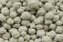 猫砂有哪些种类 膨润土猫砂、豆腐猫砂、原木猫砂等种类较常见