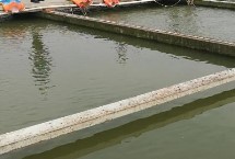 开春怎么清理养殖池 消毒后要二次杀菌
