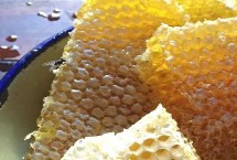 鸭脚木蜜的食用方法 普遍吃法是冲泡饮用