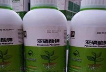 亚磷酸钾与亚磷酸二氢钾有什么区别 亚磷酸钾可抑制部分病害