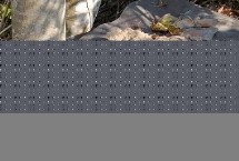 适合放置诱蜂桶的位置 通常可放在蜜源丰富、符合蜜蜂筑巢习性的地方