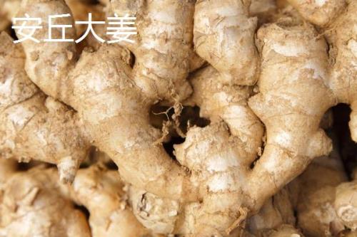 生姜的产地，我国东部、西南部等地区都有种植